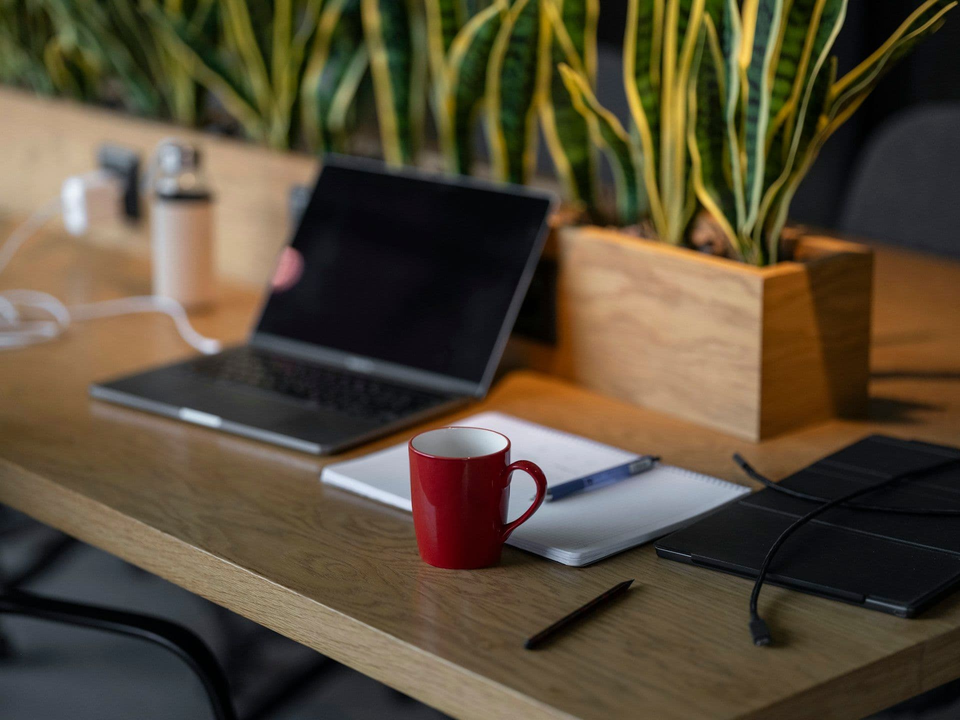 AI Bookkeeping for CPA Firms: Three Workflows That Free 8 Hours Per Bookkeeper Per Week
