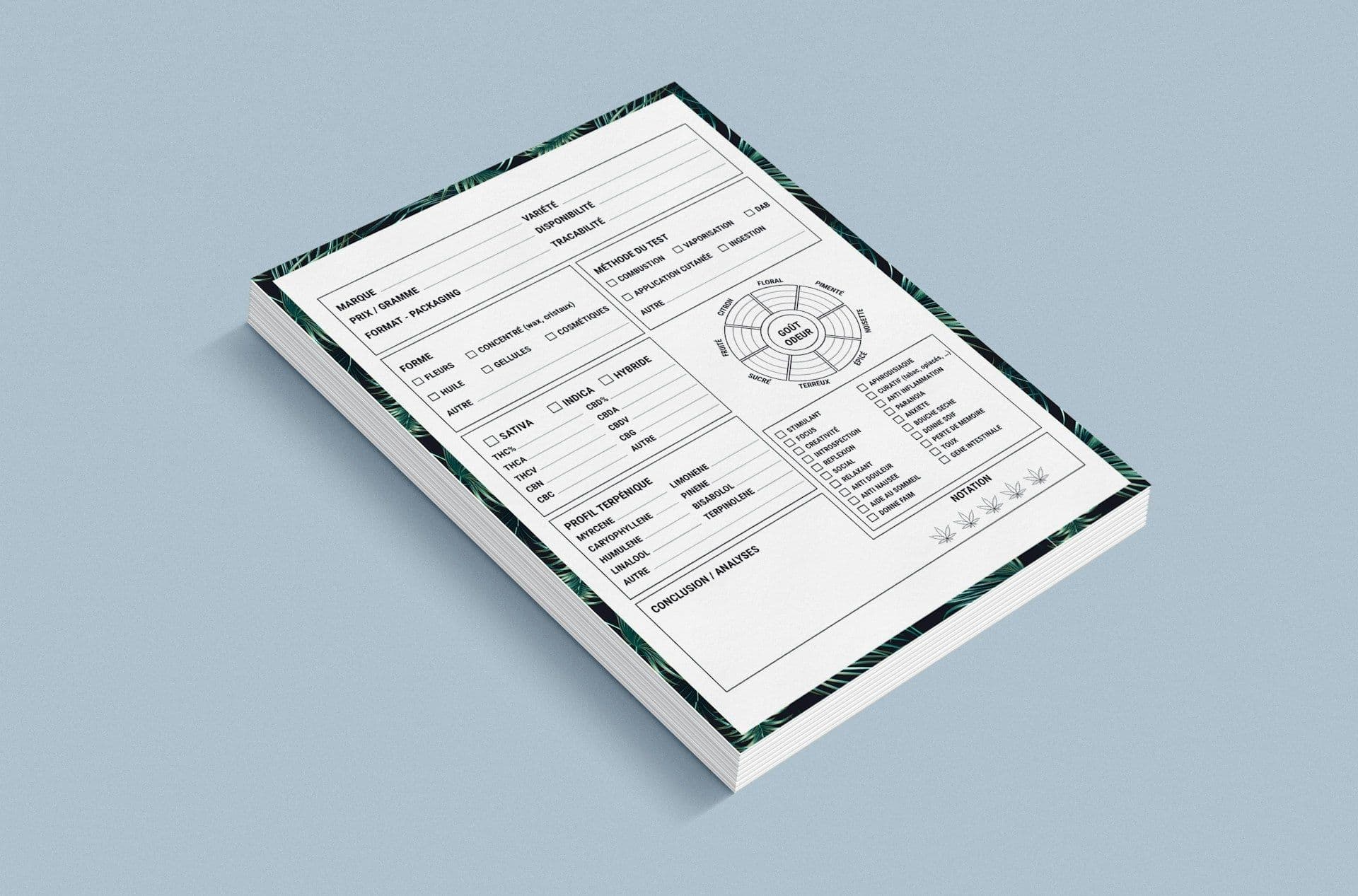 Featured image for Chart of Accounts for SaaS Startups: A Bookkeeper-Approved Template
