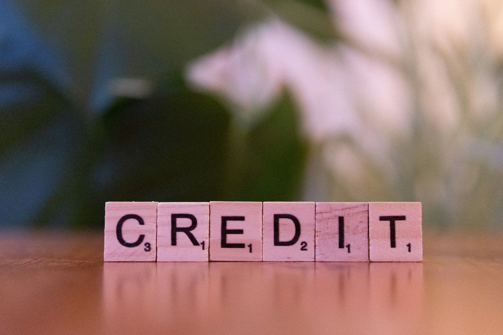 Credits and Debits: What They Are & How Bookkeepers Use Them